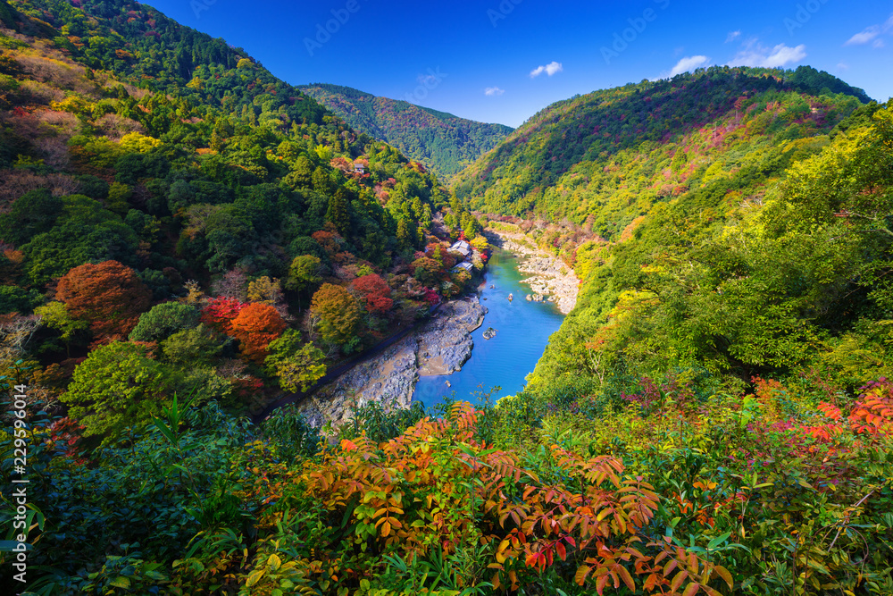 日本荒山视点和鹤津河的秋天