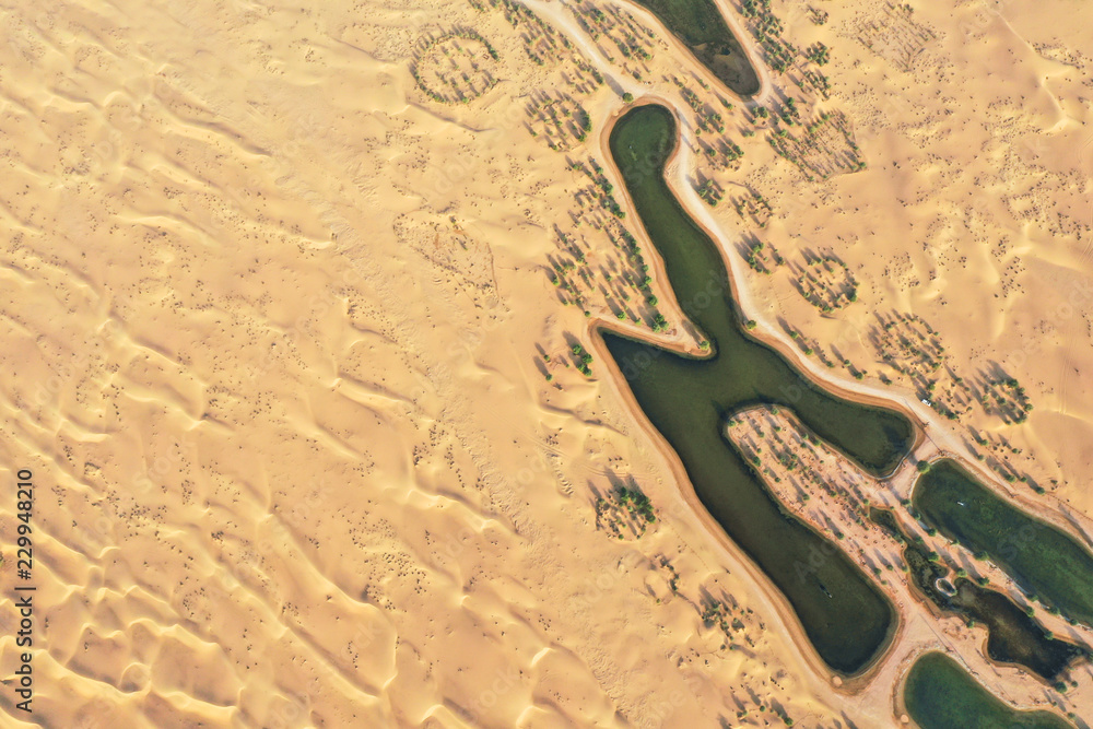 Lakes and trees in a beautiful oasis in the desert. Dubai, UAE.