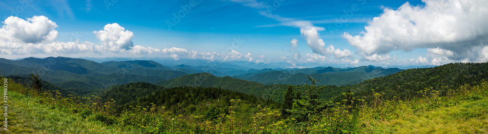 有云的夏季景观