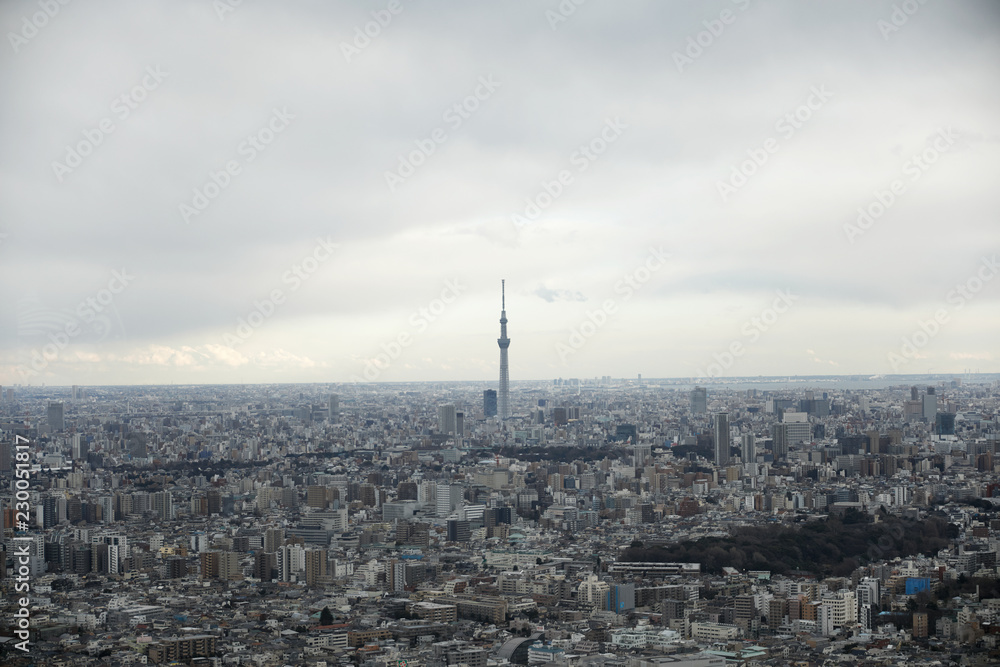 東京風景　曇り空