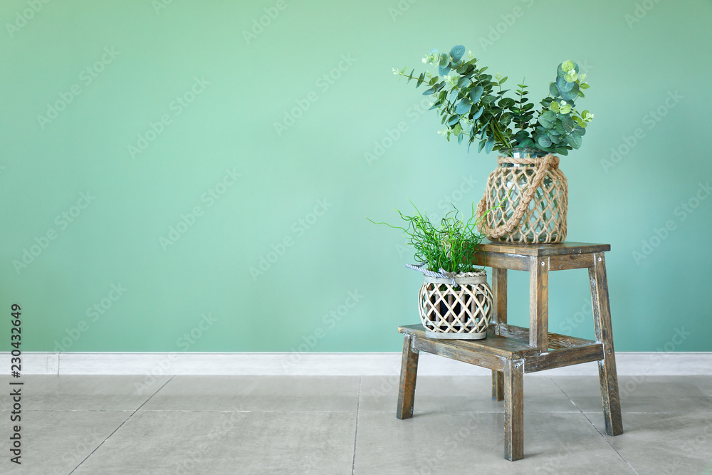 Glass vases with green plants on wooden stool near color wall