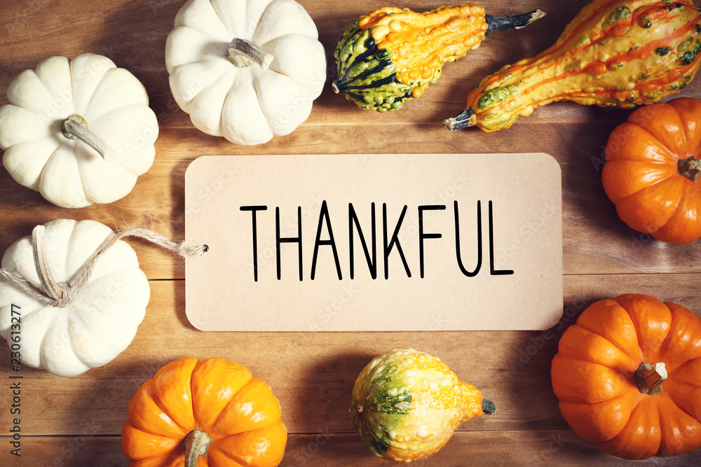 Thankful message with collection of pumpkins on a wooden table