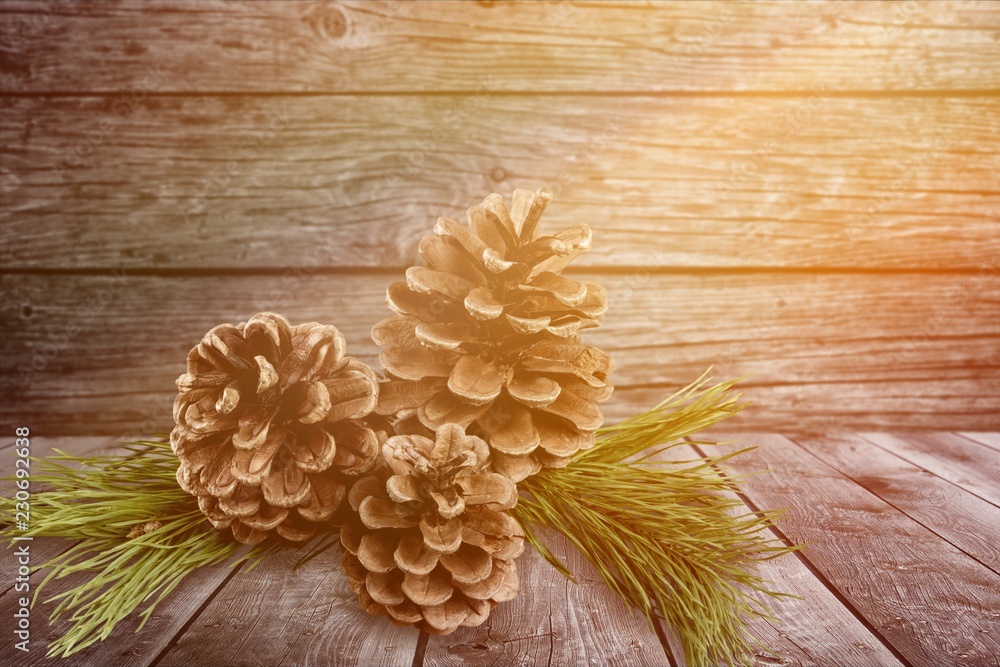 Pine cones with branch on a desk