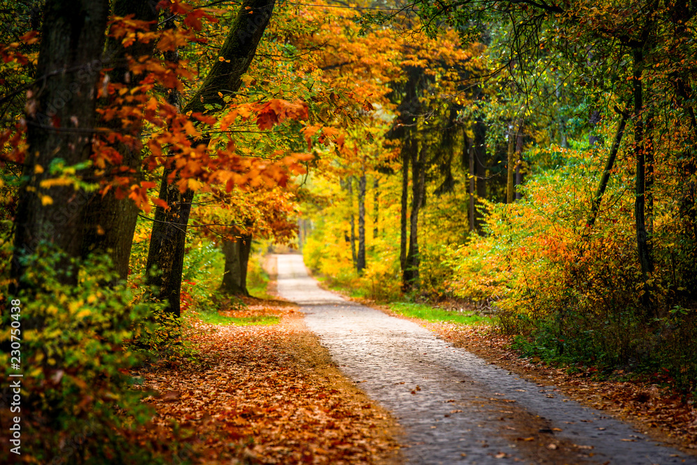 Herbstlandschaft