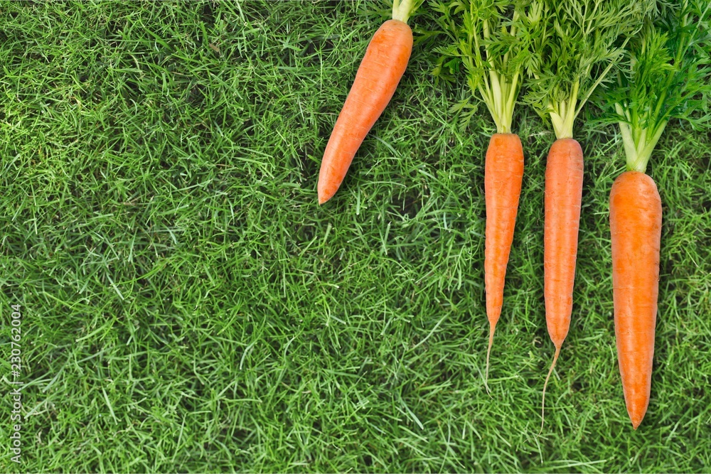 Fresh carrot isolated on white background