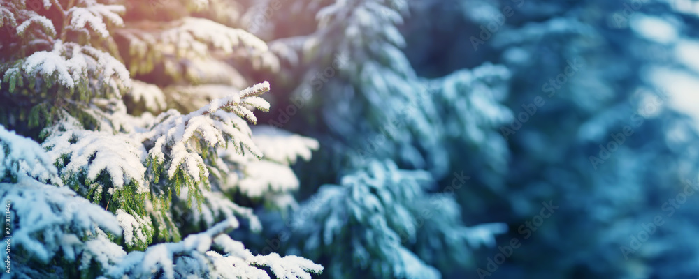 Beautiful tree in winter landscape in late evening in snowfall