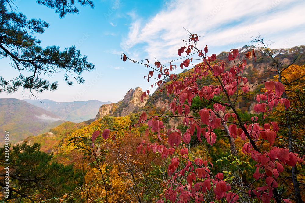 本溪关门山风景区的秋山。