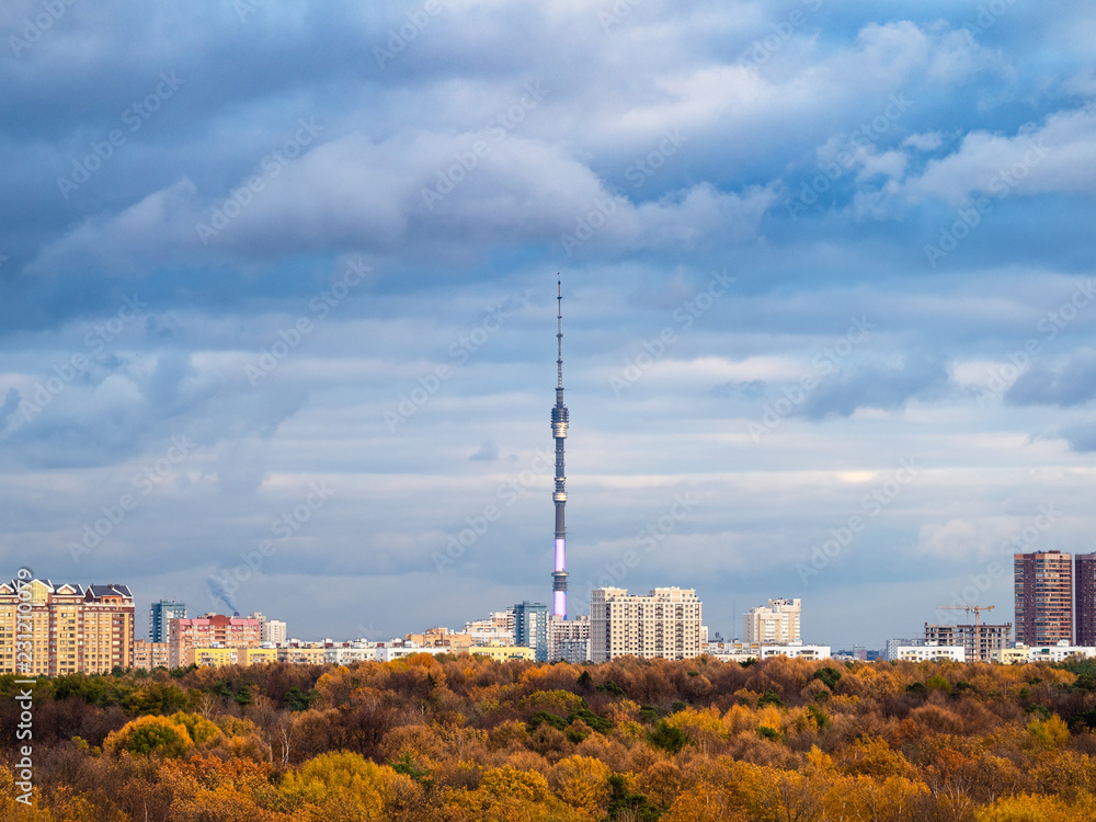 skyline with autumn forest and city