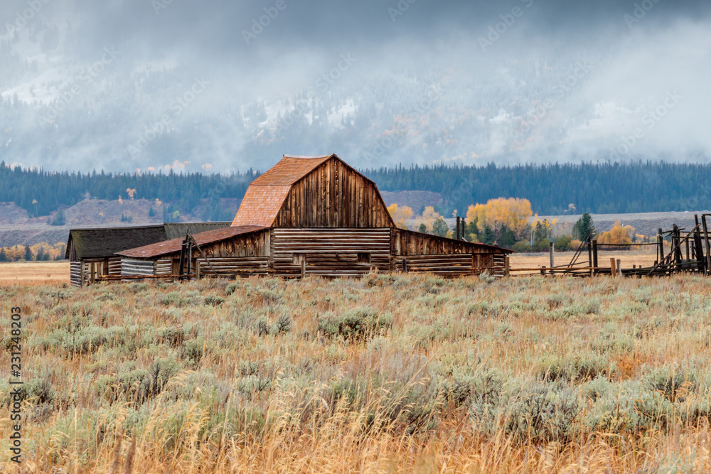 old barn in the field