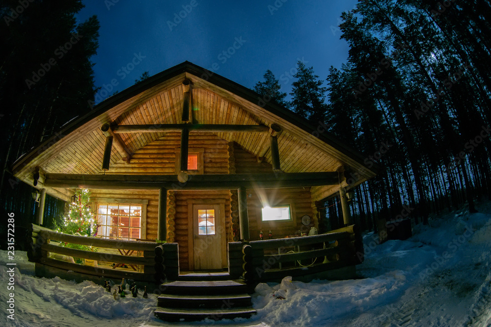 A lonely house in a pine forest