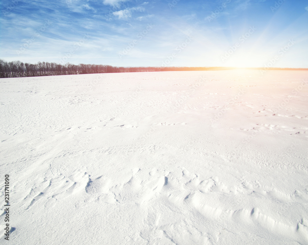 天空和阳光下白雪皑皑的田野。