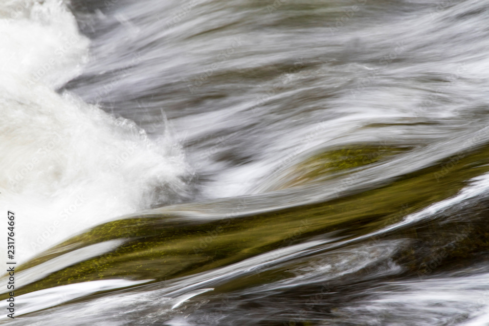 Catlins River Walk的湍急河流