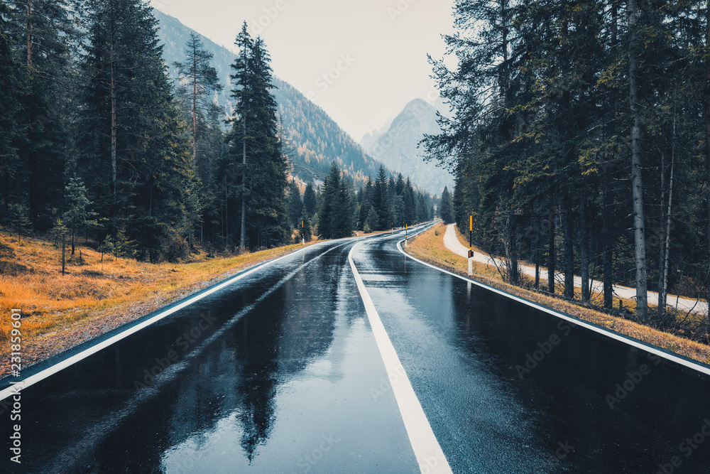 Road in the autumn forest in rain. Perfect asphalt mountain road in overcast rainy day. Roadway with