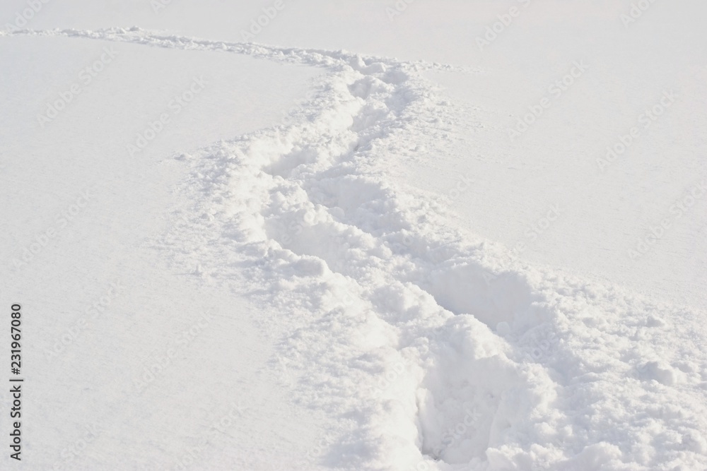 深雪中的路径和脚印