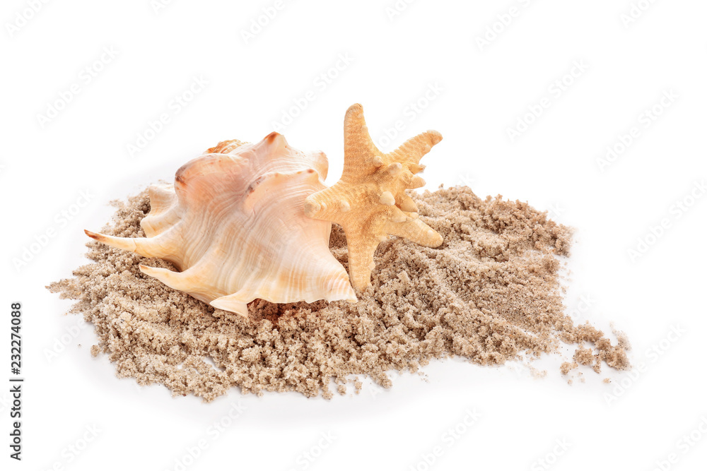 Seashells and sand on white background