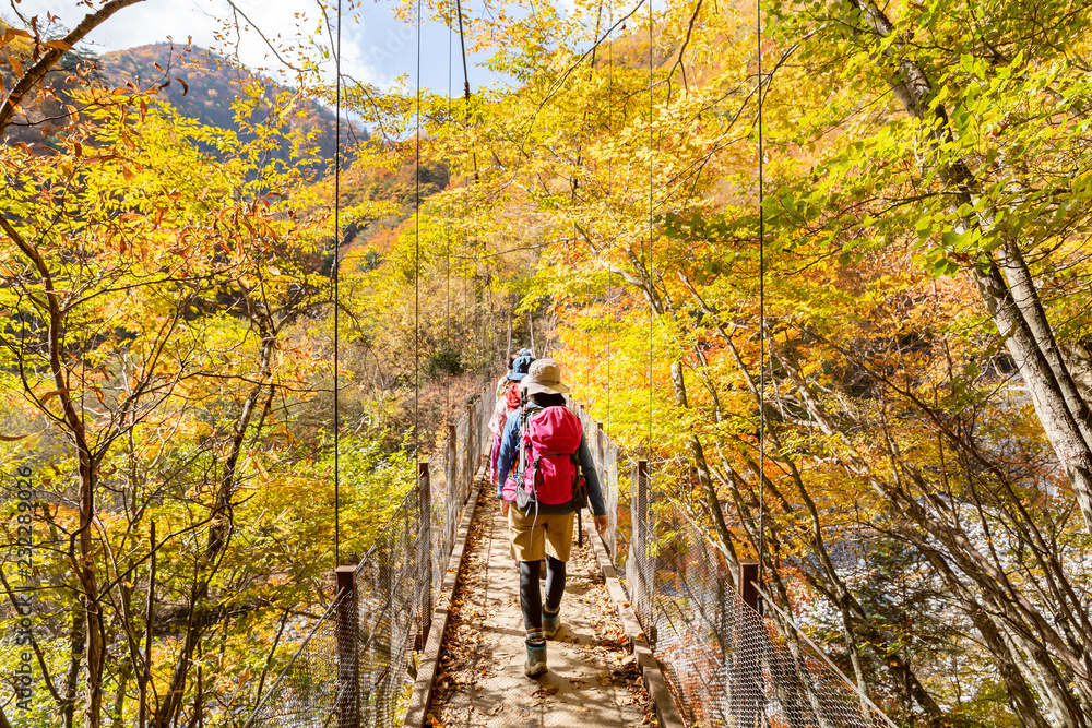 鮮やかな紅葉の登山道