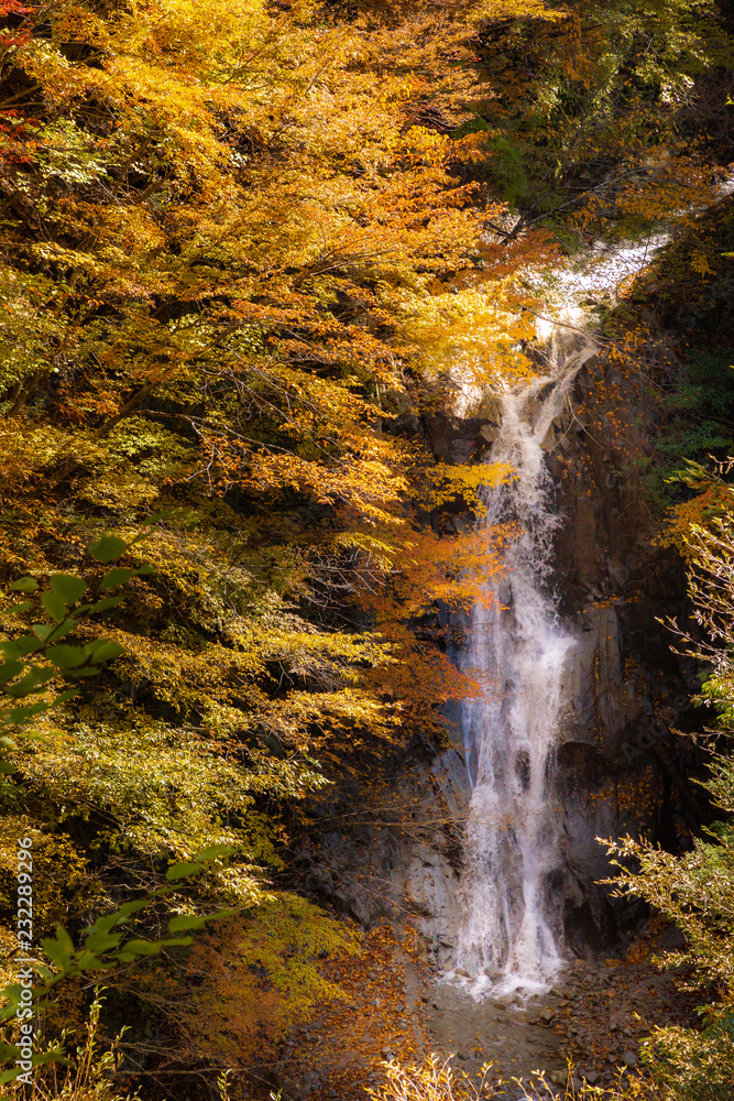 西沢渓谷の鮮やかな紅葉と滝