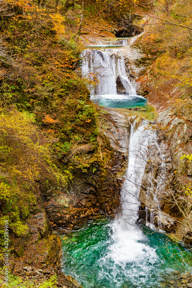 西沢渓谷の鮮やかな紅葉と滝