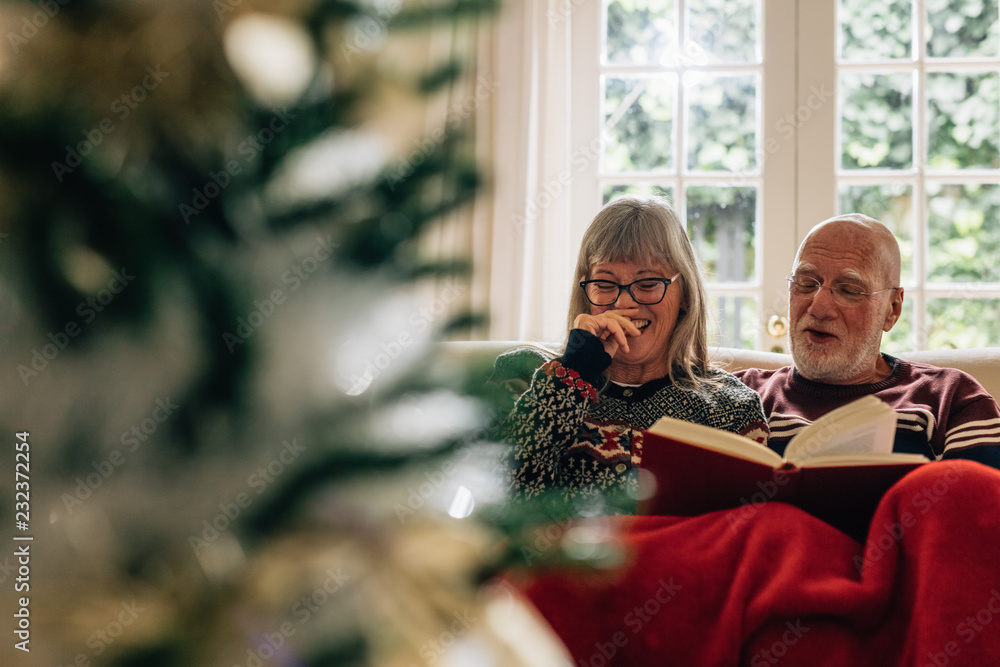 Happy old couple enjoying reading a book together