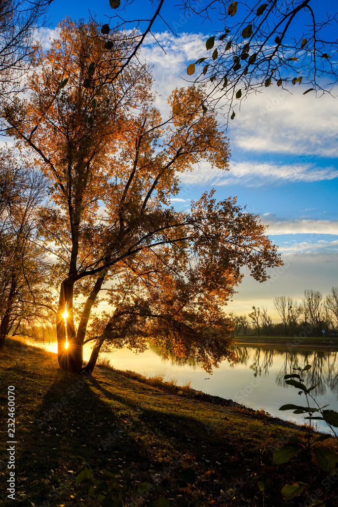 Herbstlandschaft am Wasser