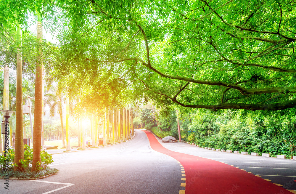 Red pedestrian trail