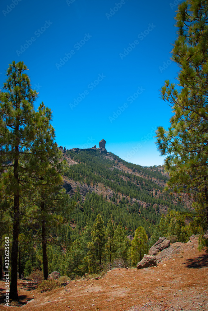 大加那利岛上的Roque Nublo