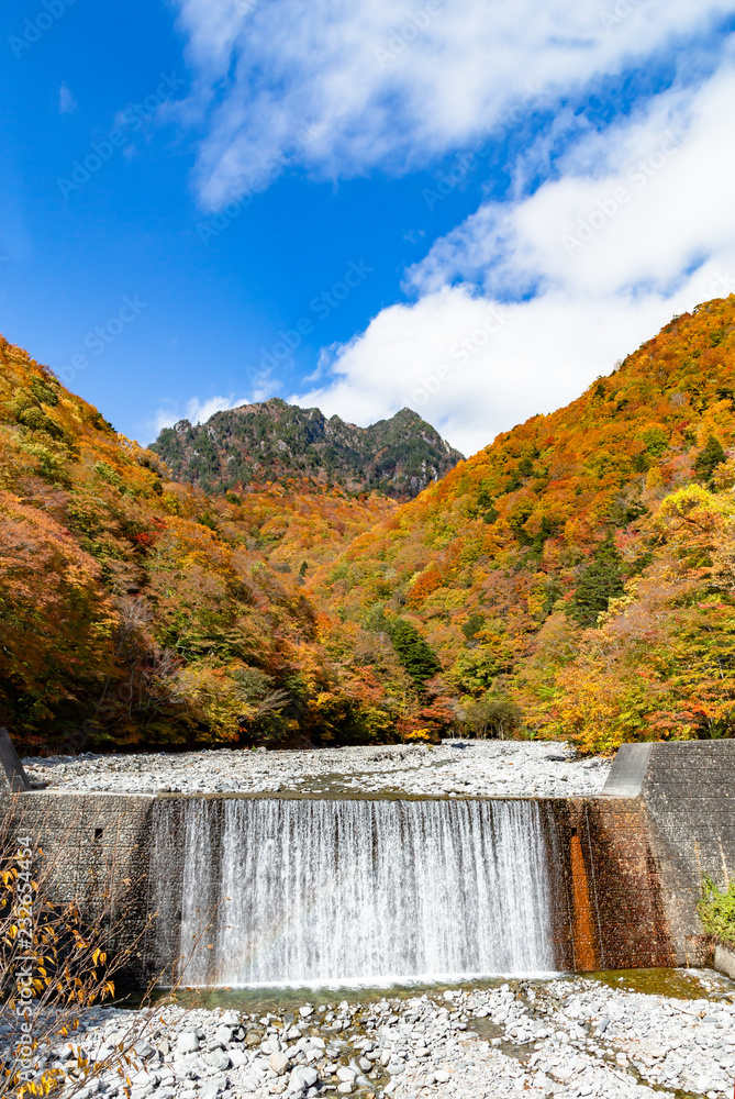 西沢渓谷の鮮やかな紅葉と滝