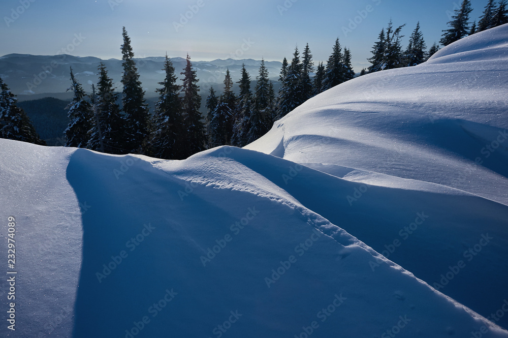 月光下白雪覆盖的松树。冬季山脉景观。