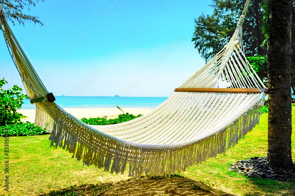 Hammock between two palm trees on the beach