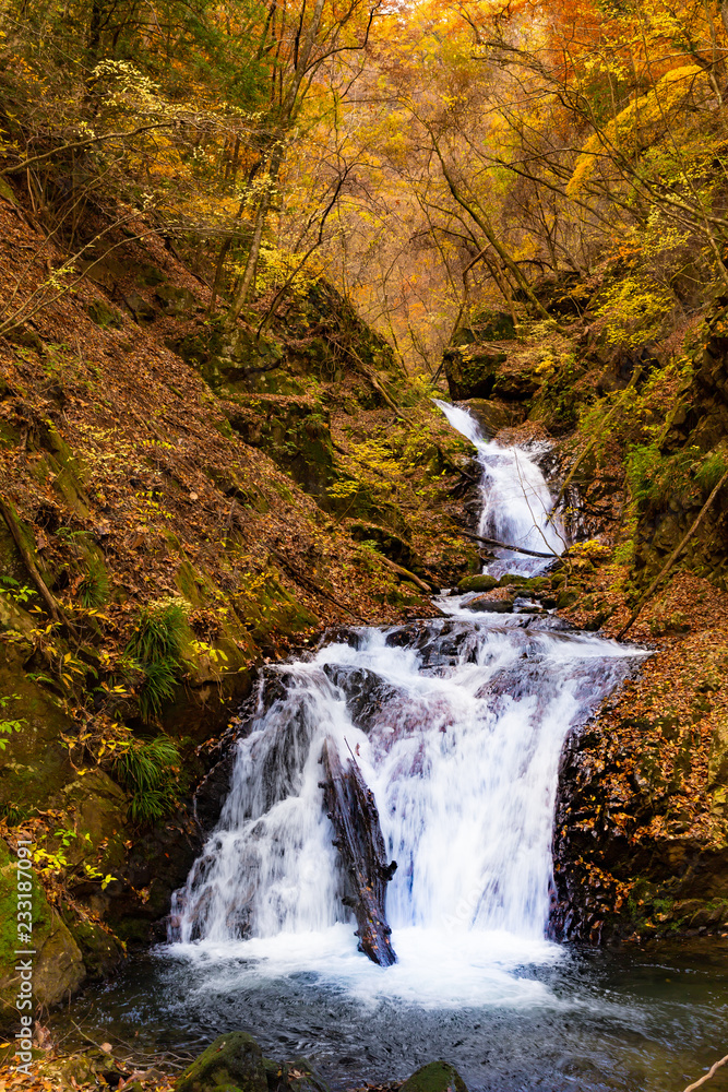 紅葉した山中を流れる滝