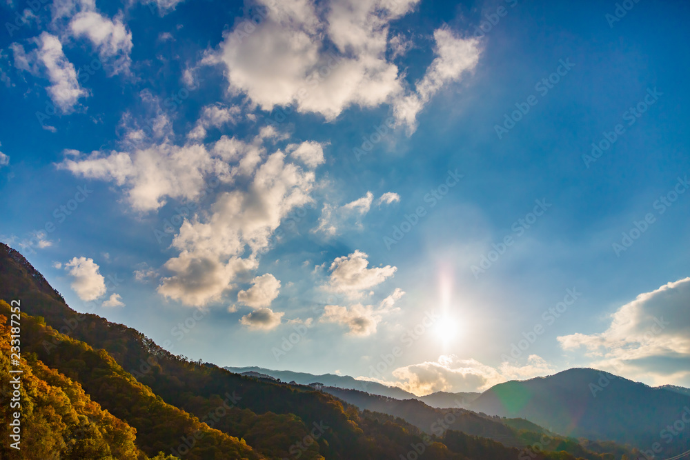 鮮やかに紅葉した山