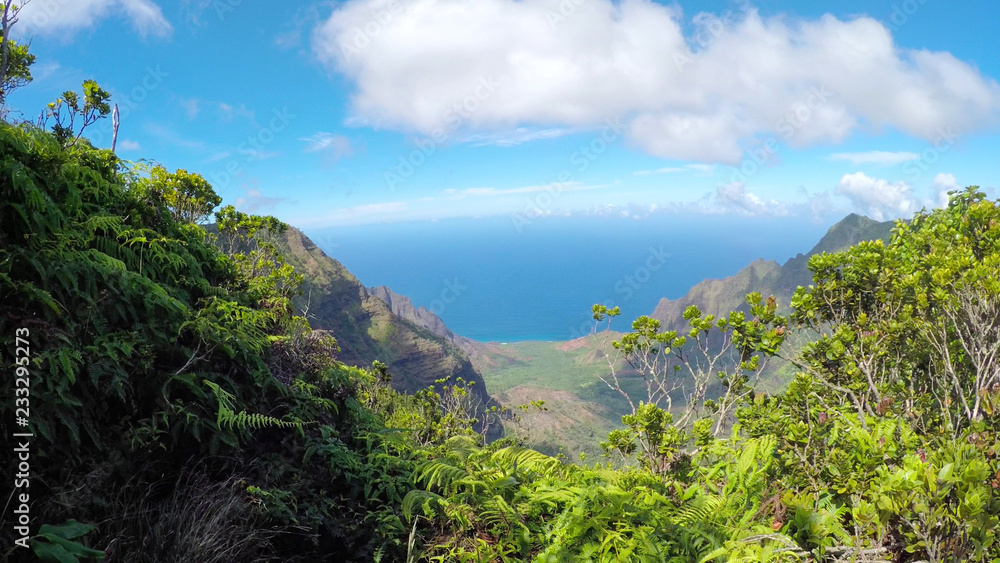 Picturesque scenery with high rocky mountains, lush jungle valley and blue ocean