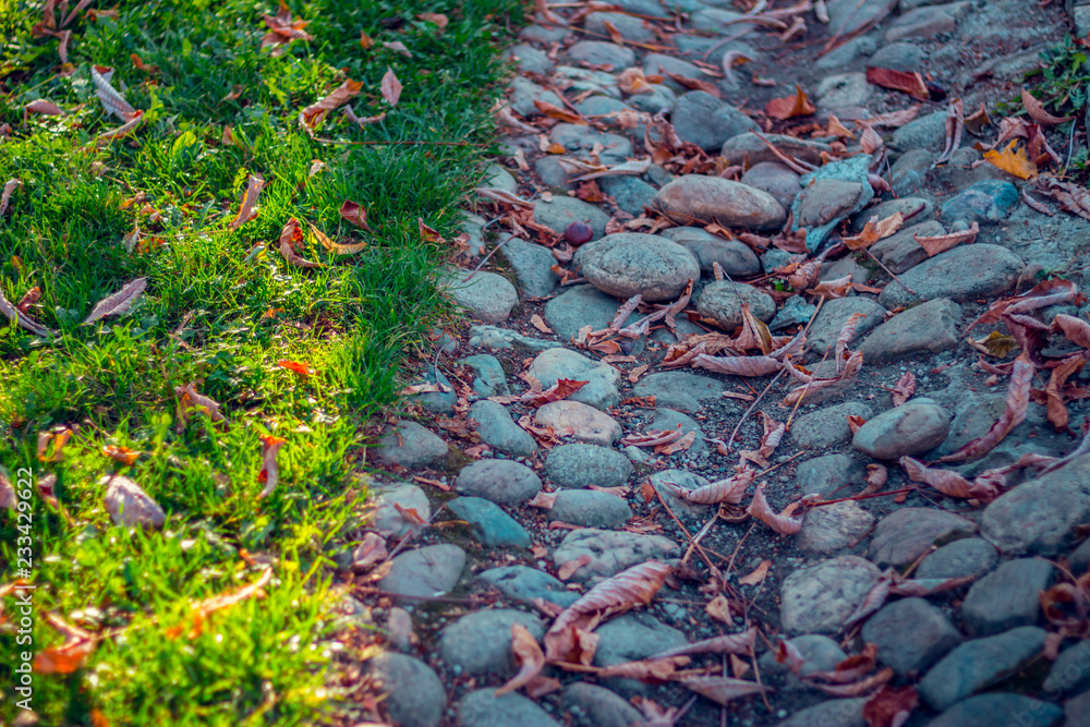 Rocks natural background. Stone path with grass in a public garden