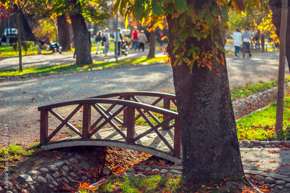 Little cute bridge over the river next to a tree in a public park