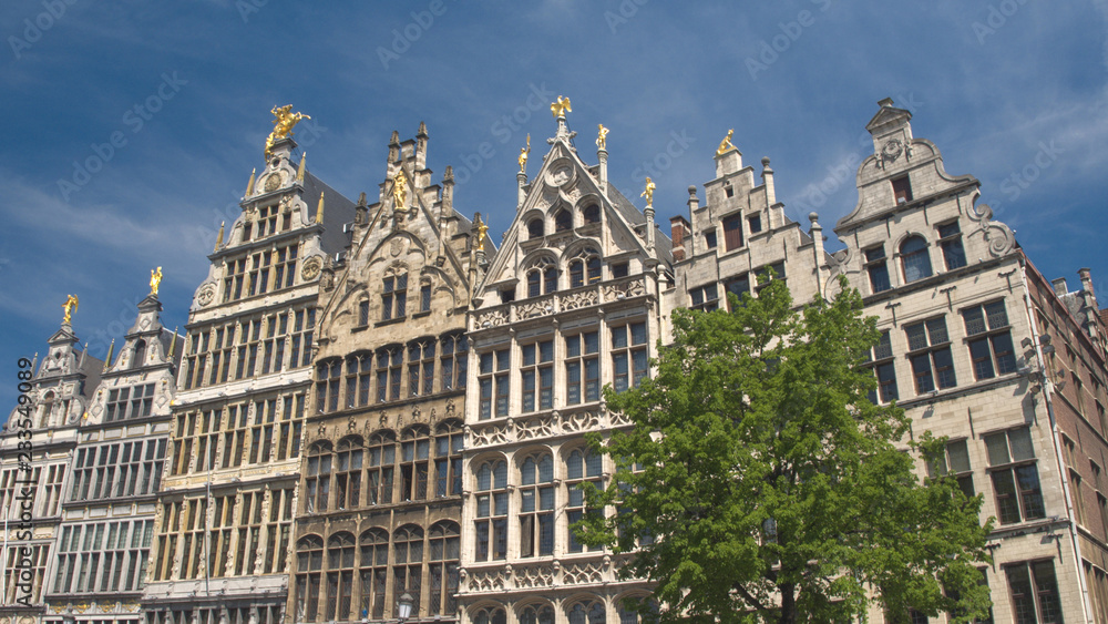 特写：Grote markt纪念性建筑上丰富的金色装饰