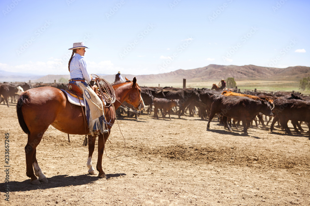 Side view of cowgirl looking away while sitting on horse back