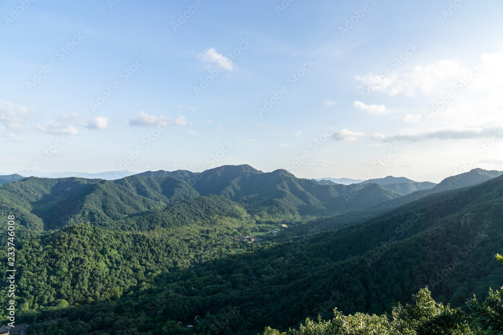 中国杭州最杂草丛生的湖泊景观