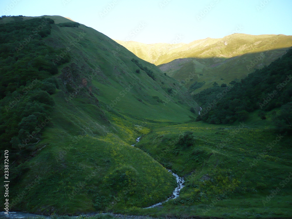 夏季山溪美景。高加索山脉。