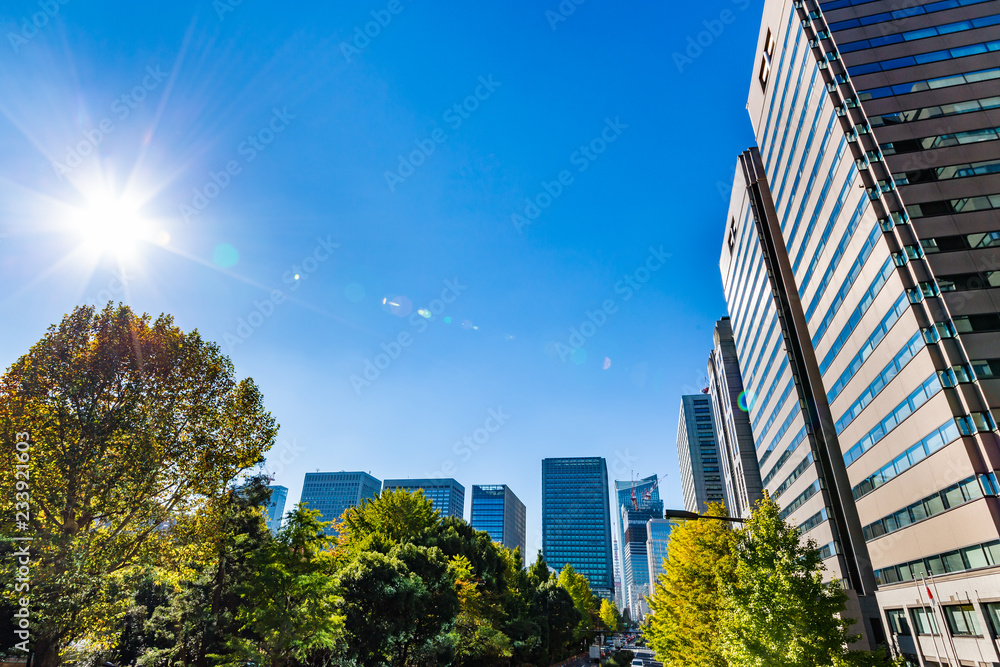 秋晴れの東京のビル群