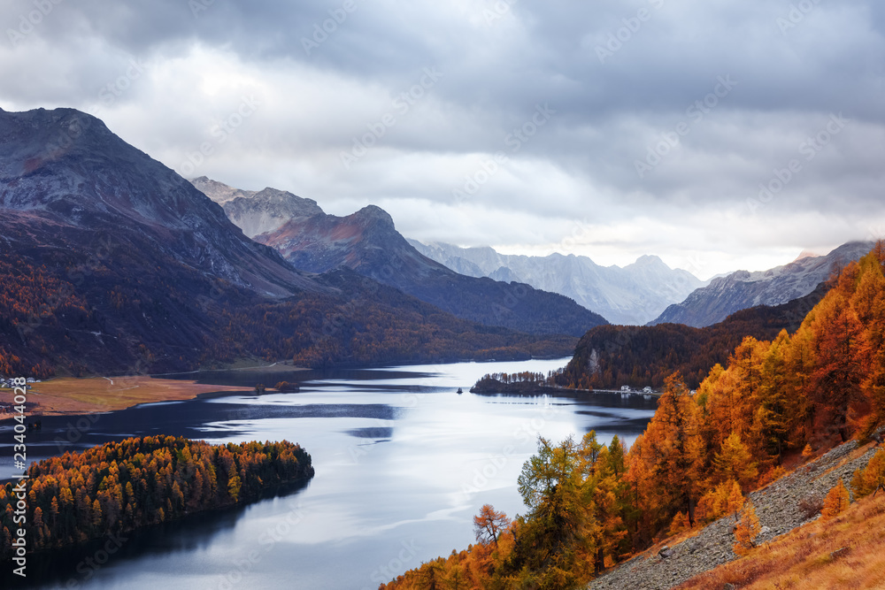 Aerial view on autumn lake Sils (Silsersee) in Swiss Alps. Colorful forest with orange larch and sno