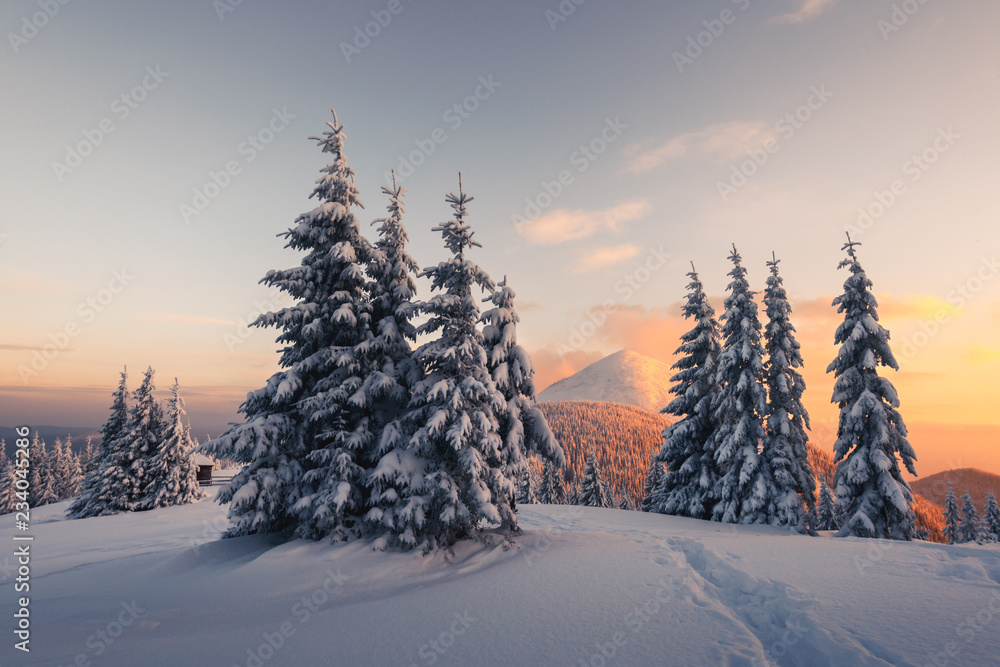 阳光照耀下的雪山中令人惊叹的橙色冬季景观。戏剧性的冬季场景