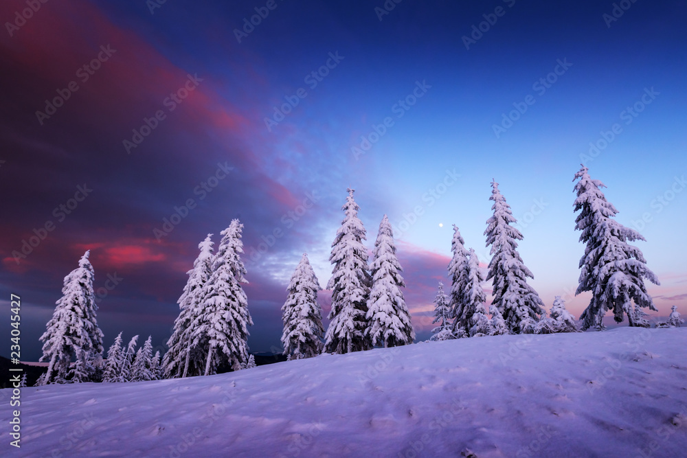 阳光照耀下的雪山中令人惊叹的橙色冬季景观。戏剧性的冬季场景