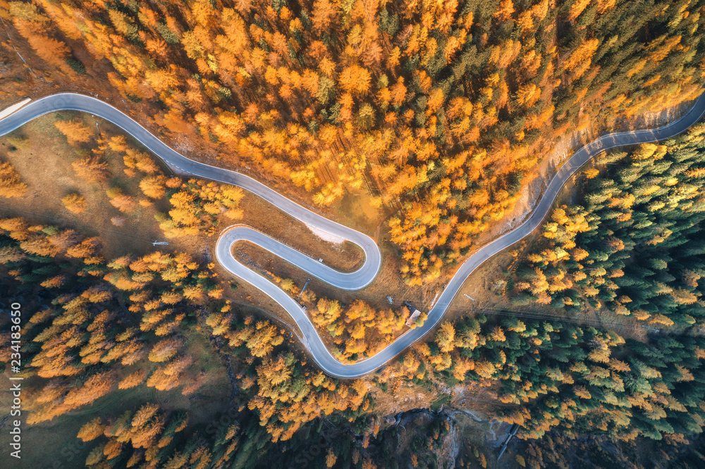 日落时分，山脉中秋林中蜿蜒道路的鸟瞰图。完美沥青的俯视图