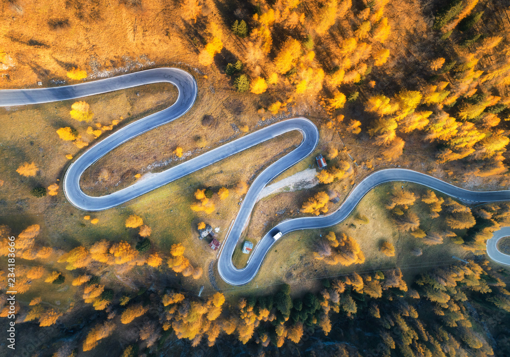 日落时分，山脉中秋林中蜿蜒道路的鸟瞰图。完美沥青的俯视图