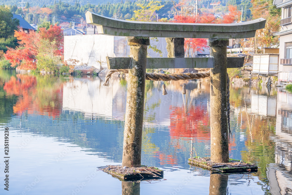 美丽的红色枫叶和日本torii，在秋天的阳光明媚的日子里，在日本大田的金林湖，bl