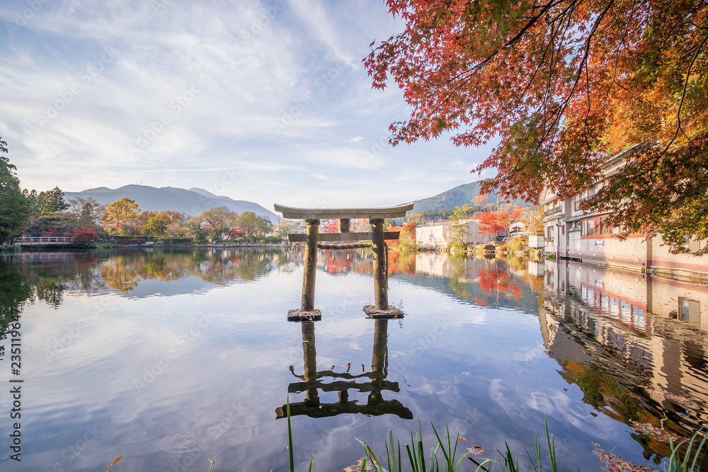 美丽的红色枫叶和日本torii，在秋天的阳光明媚的日子里，在日本大田的金林湖，bl