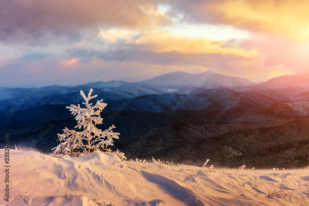 阳光照耀下的雪山中令人惊叹的橙色冬季景观。戏剧性的冬季场景