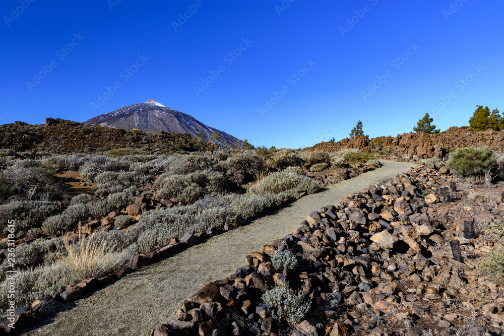 krajobraz pod wulkanem Teide，特内里法