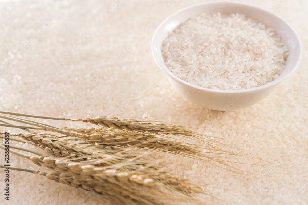 A bowl of rice with rice ears in the background