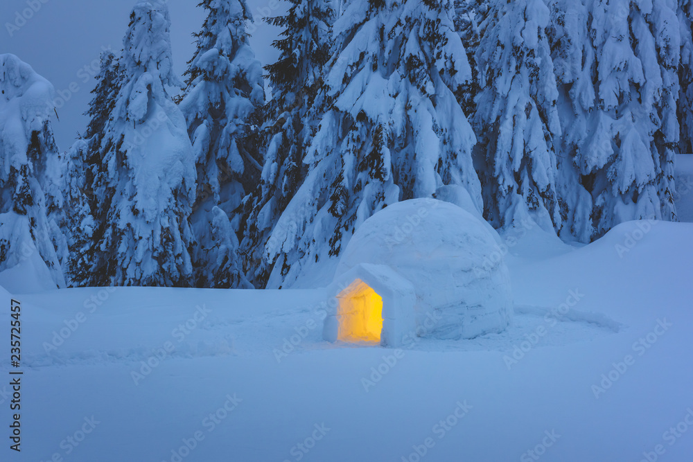 冬季喀尔巴阡山脉的雪冰屋从内部发光。前夜白雪覆盖的冷杉